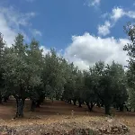 Casa Lydia Отель типа 