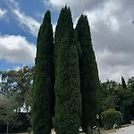 Casa Lydia