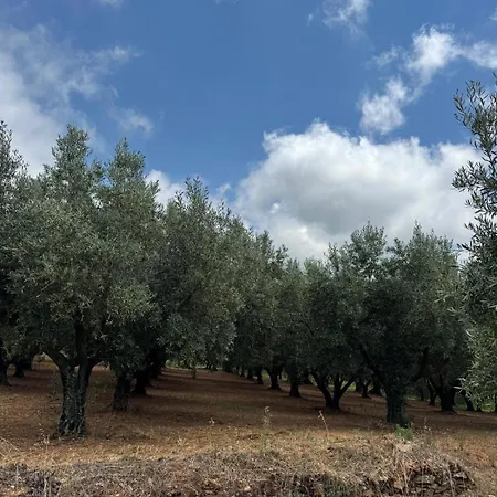 Casa Lydia לינה וארוחת בוקר *