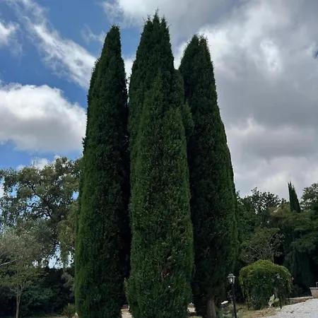 Casa Lydia