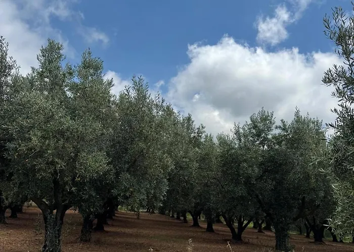 Casa Lydia Alojamento de Acomodação e Pequeno-almoço *